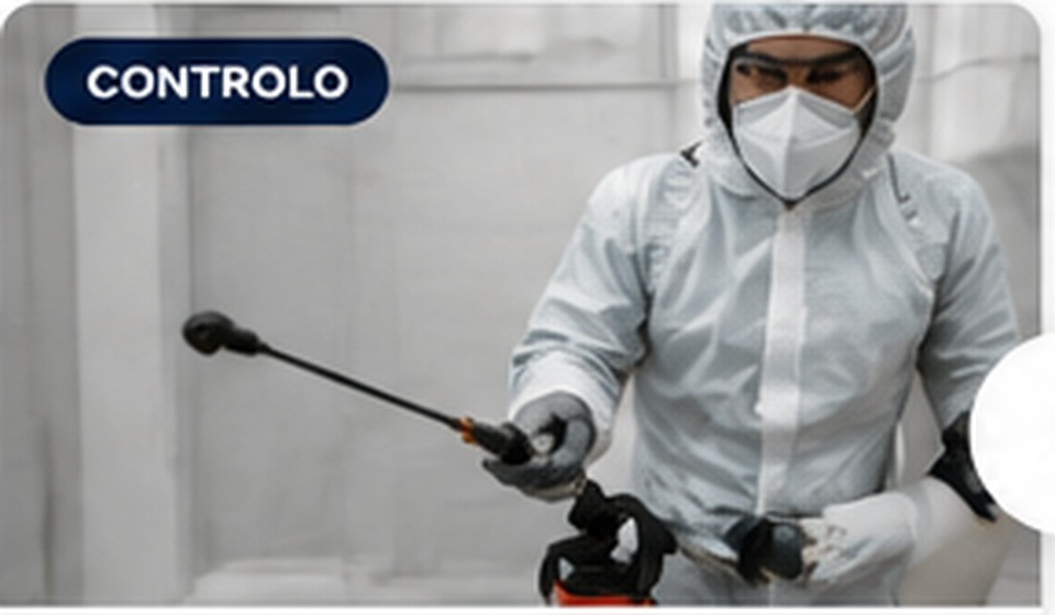 Tratamento e desinfestação — exemplo demonstrativo